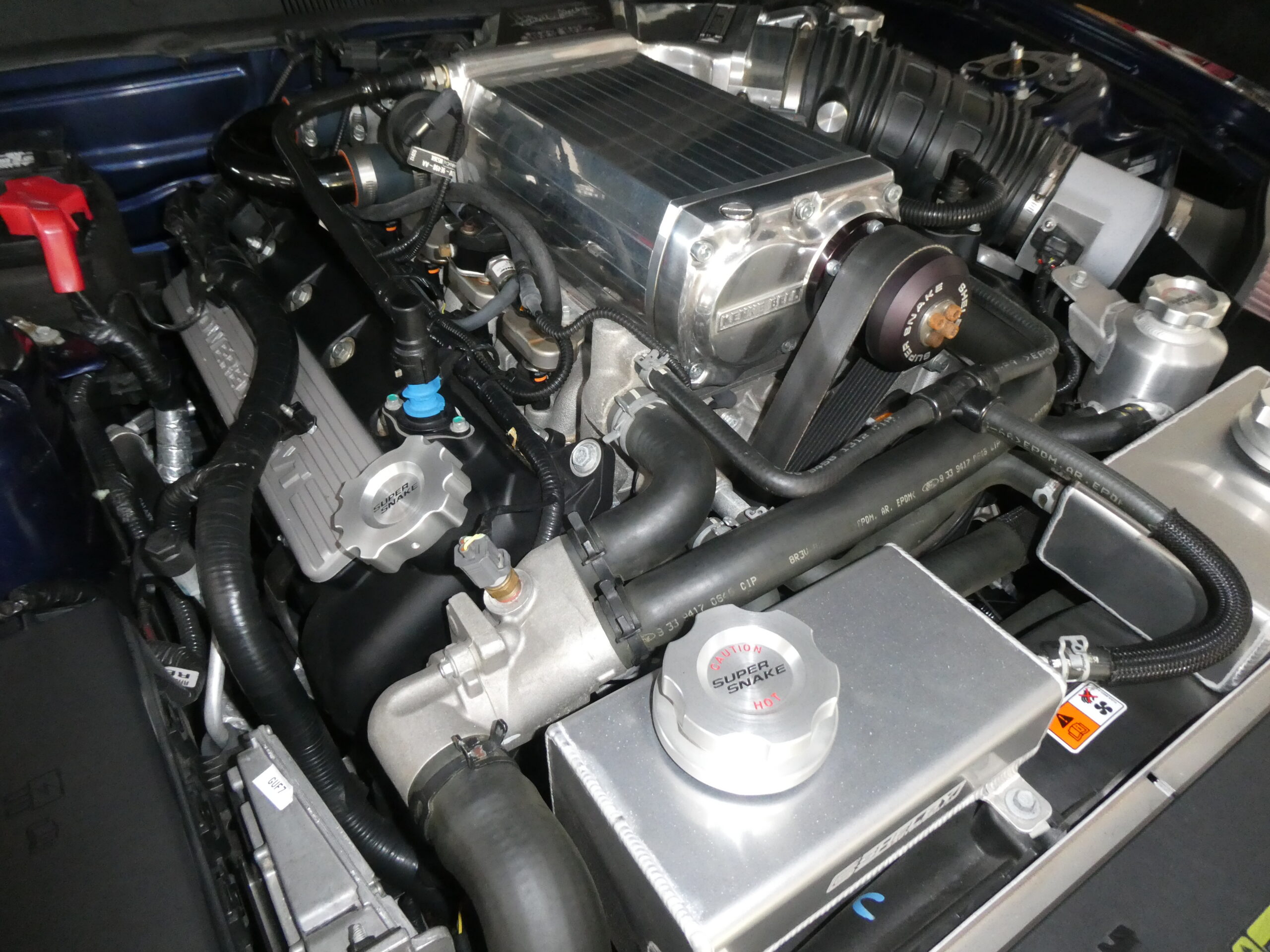 2010 Ford Mustang GT 500 Shelby — photo
