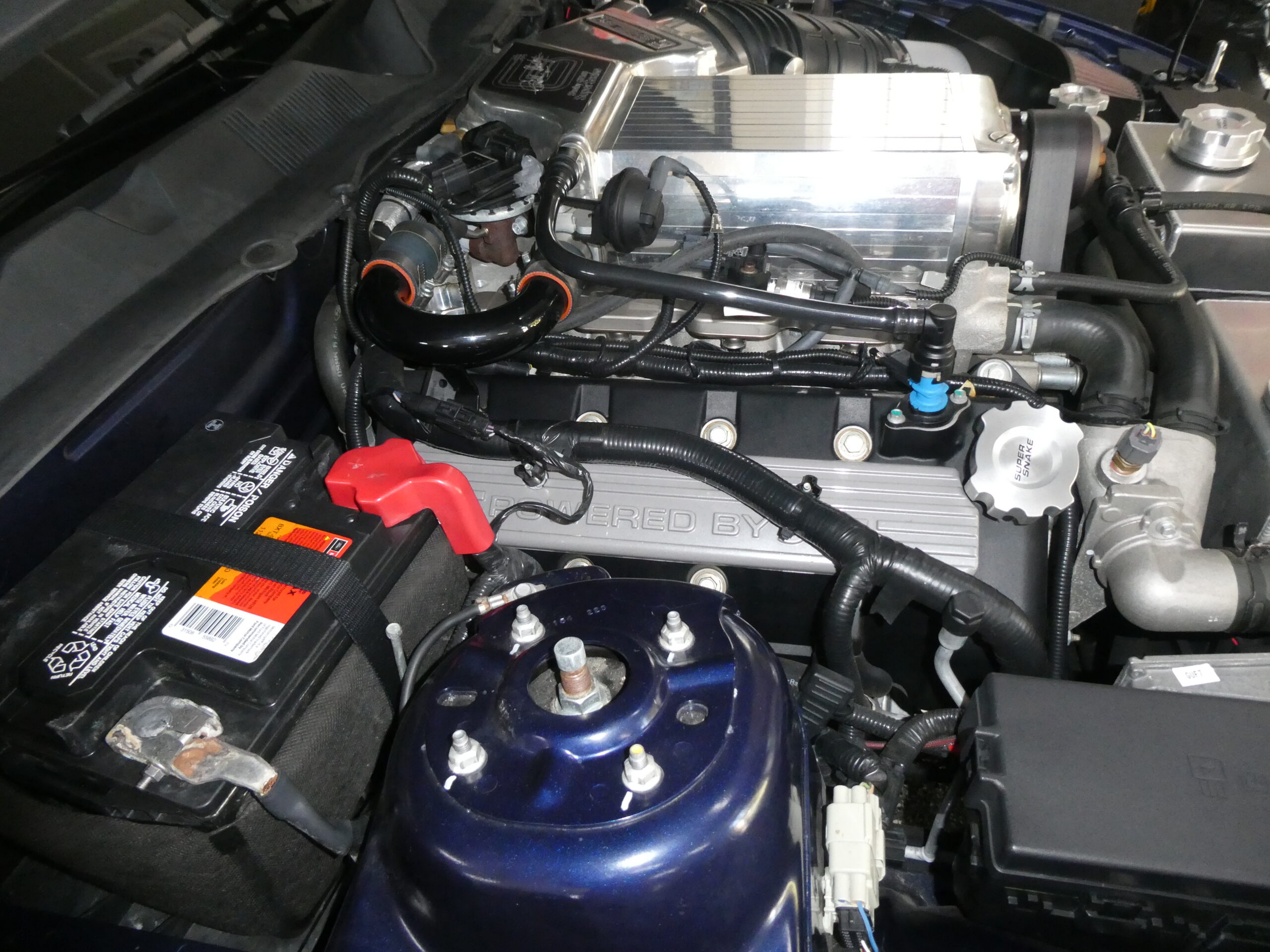 2010 Ford Mustang GT 500 Shelby — photo